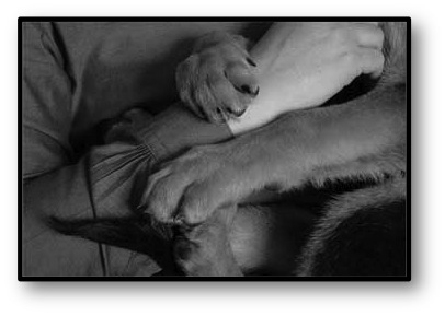 holding puppy